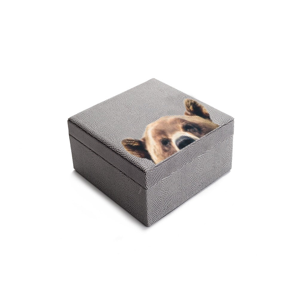 CAJA DE TE 4 REPTIL GRIS