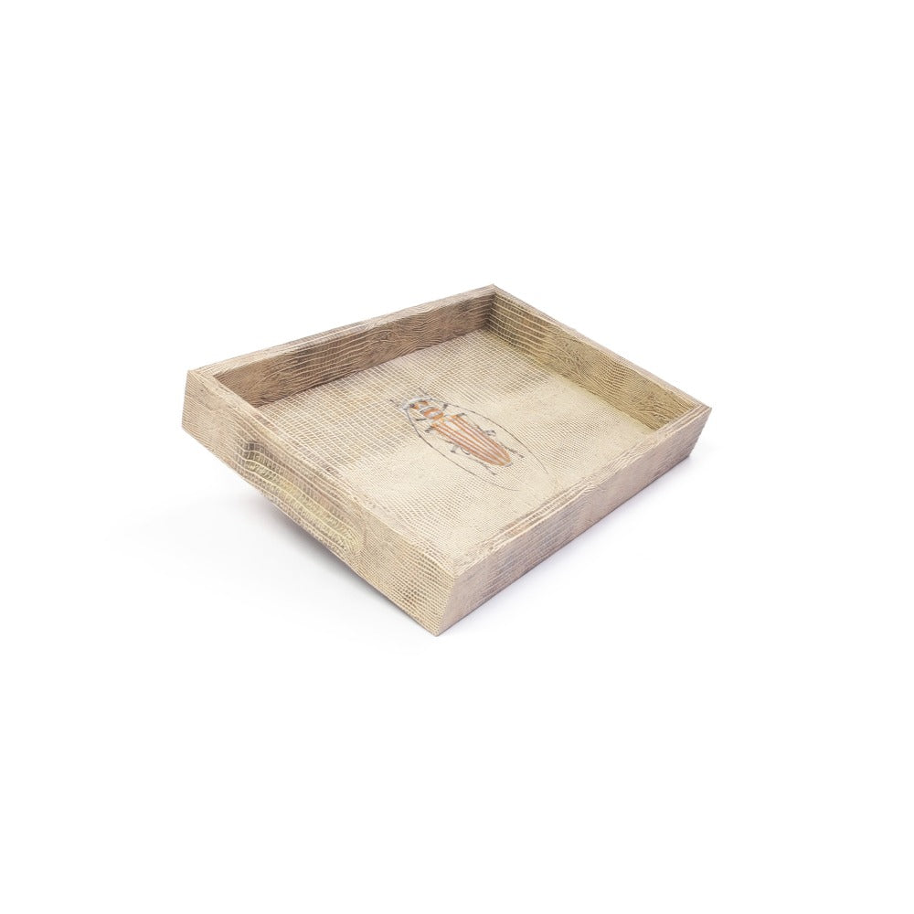 CHAROLA BURO TEJUS CLARO