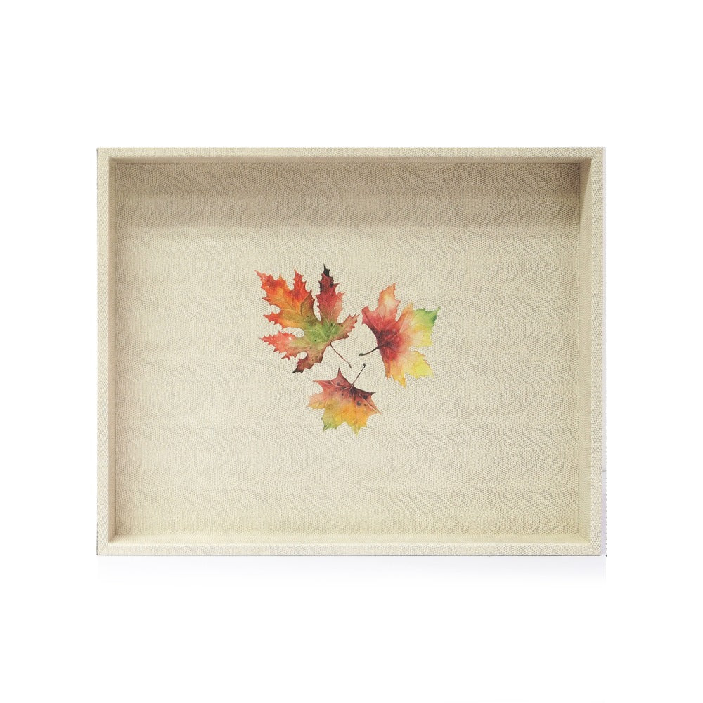 CHAROLA GRANDE RAYITAS CARNE