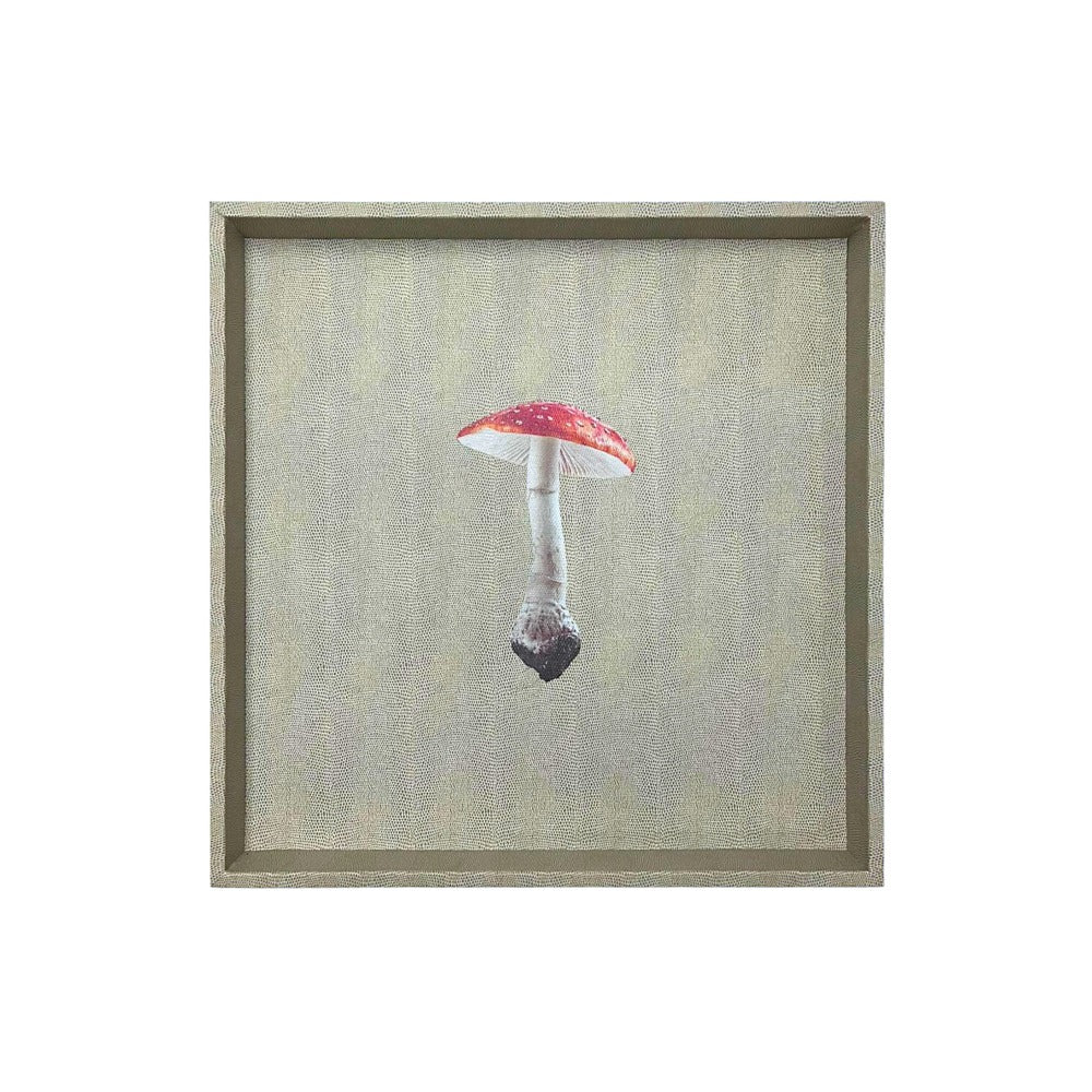 CHAROLA 50 X 50 RAYITAS CARNE