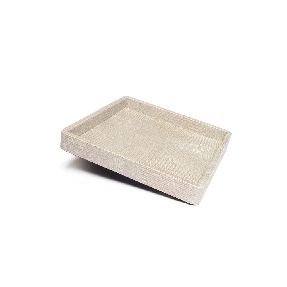 CHAROLA POLAROID MEDIANA