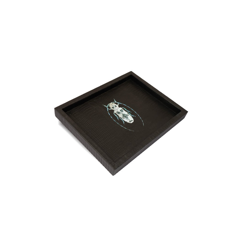 CHAROLA LADDU NEGRO ARMADILLO