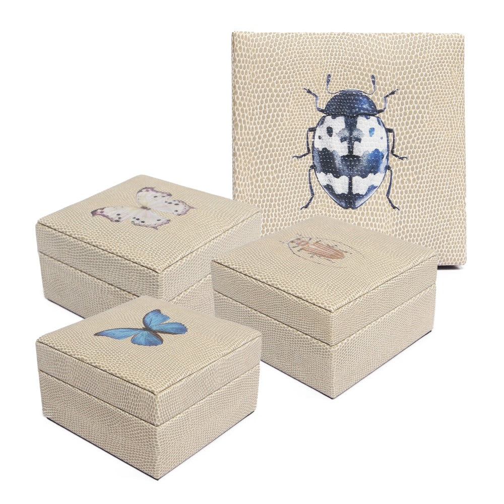 JOYERO MINI RAYITAS CARNE