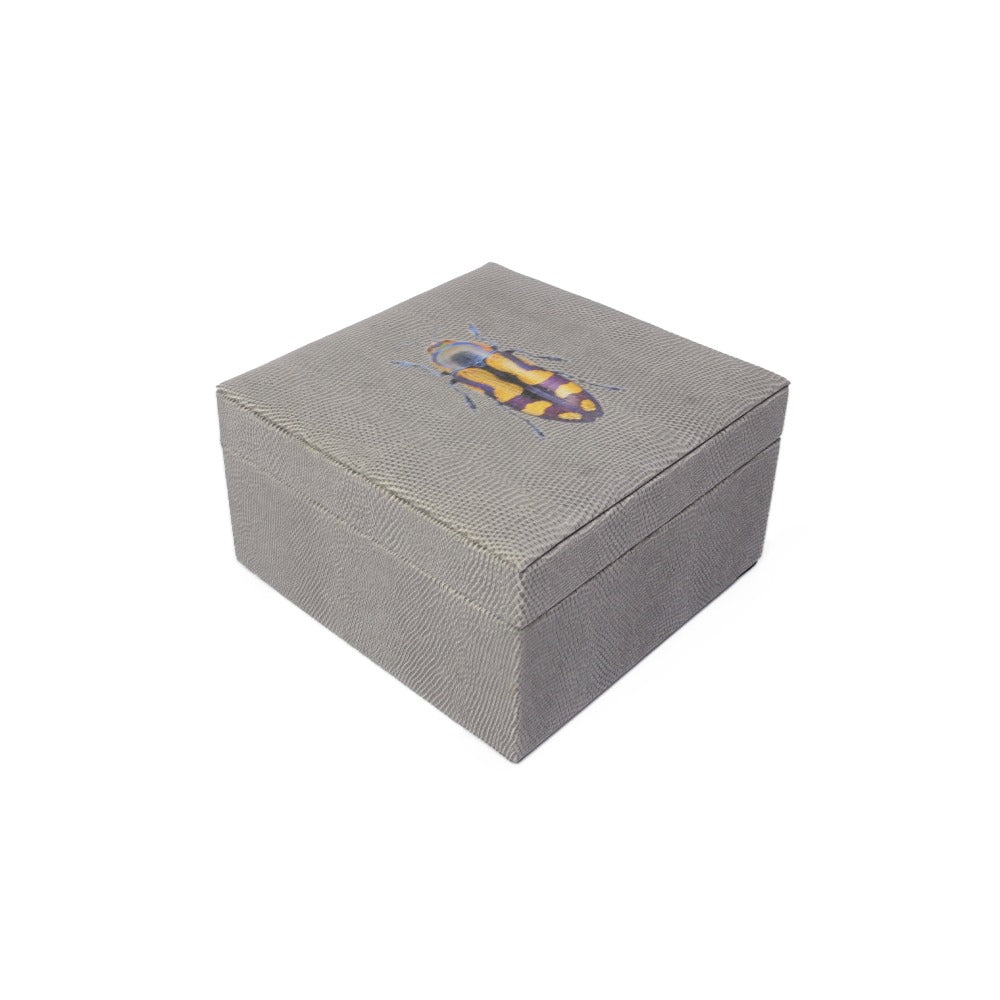 CAJA DE TE 4 REPTIL GRIS