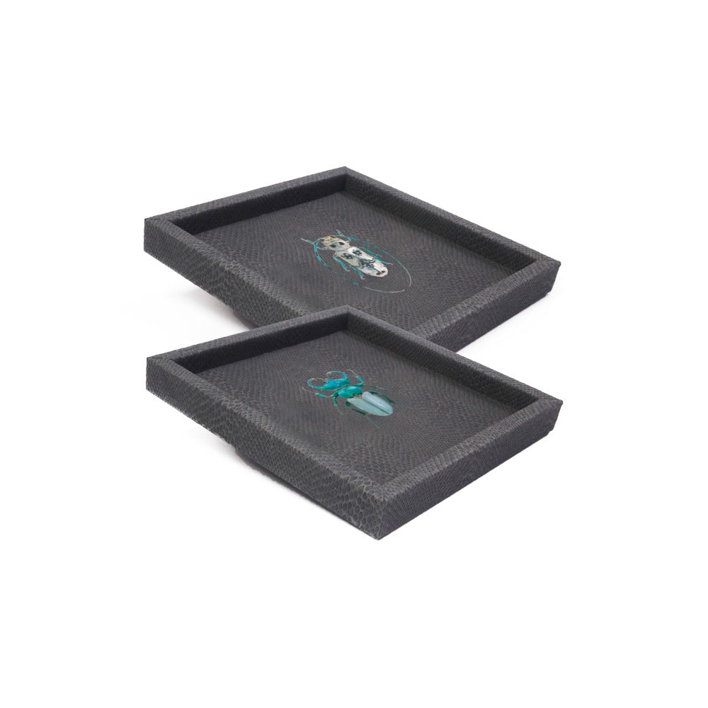 CHAROLA 18 X 18 PAMPA