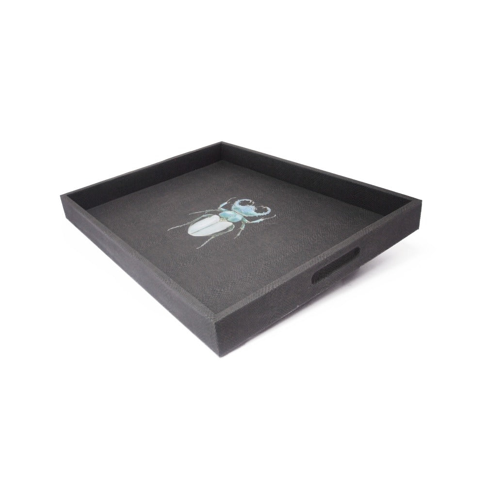 CHAROLA GRANDE PAMPA