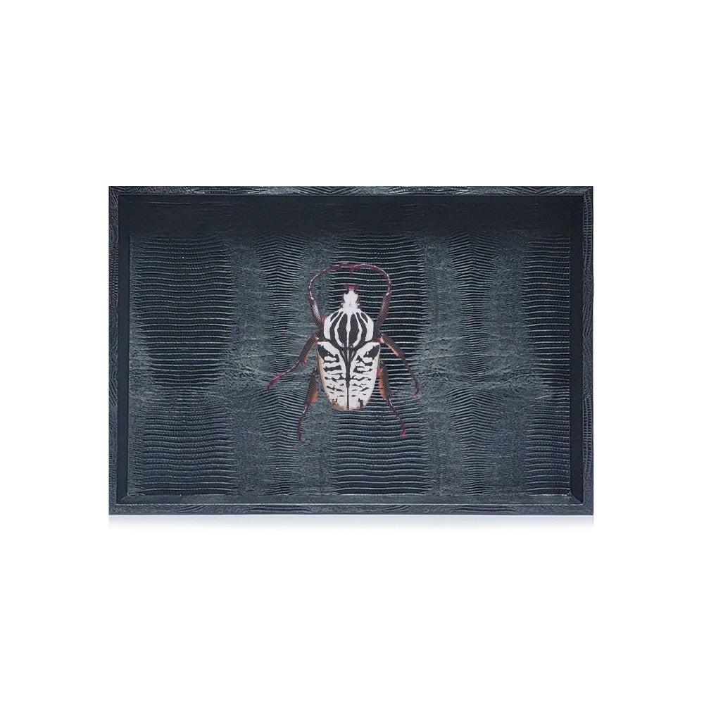 ARMADILLO MEDIUM BLACK TRAY