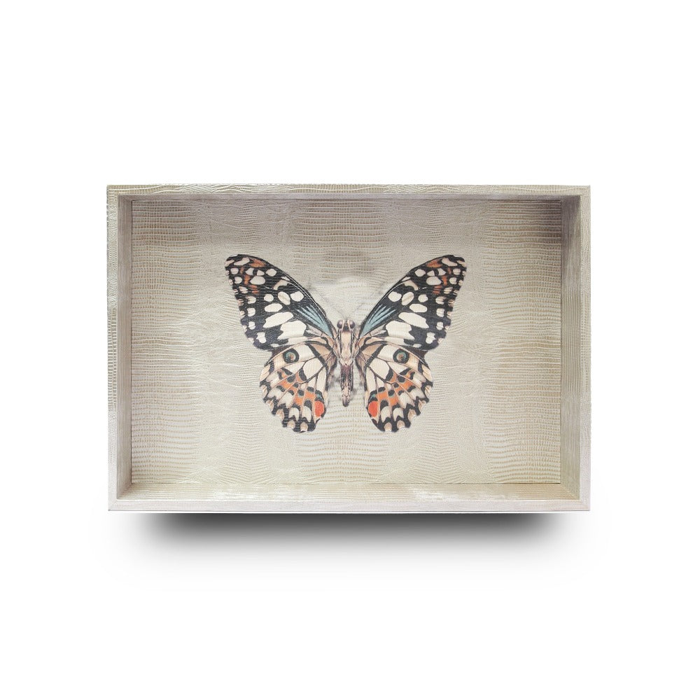 CHAROLA MEDIANA TEJUS PLATA BEIGE