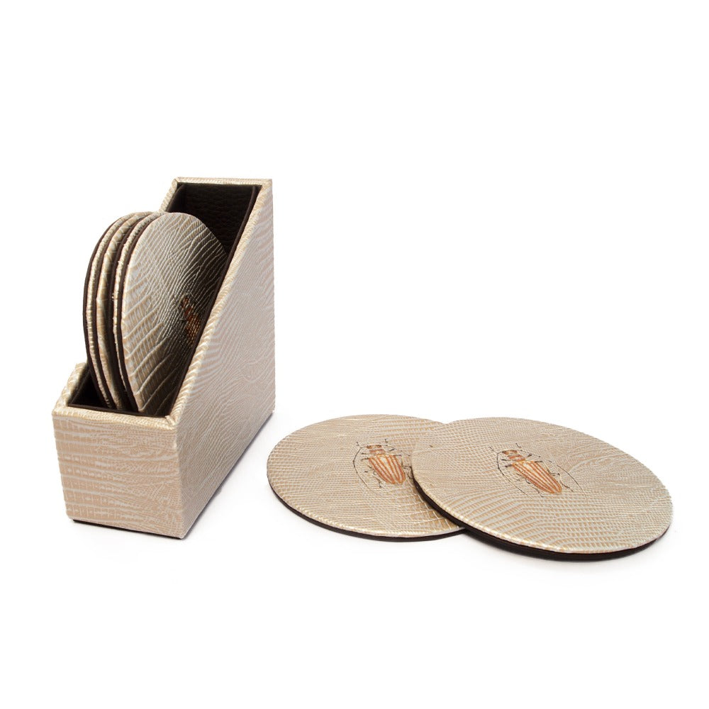 ESTUCHE PORTA VASOS CIRCULARES 6
