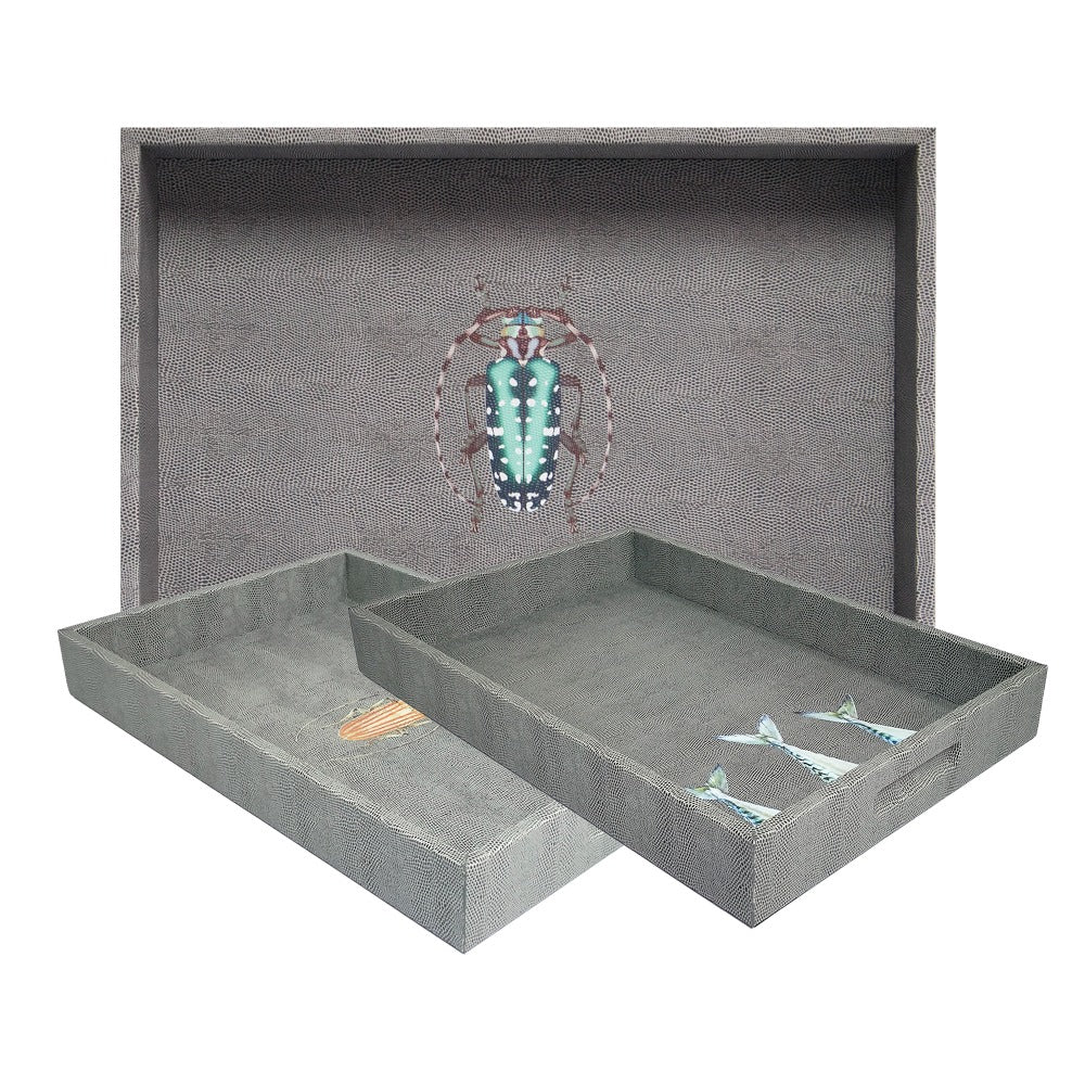 CHAROLA MEDIANA REPTIL GRIS