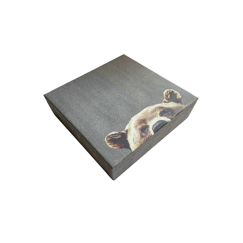 CAJA DECORATIVA GRANDE REPTIL GRIS
