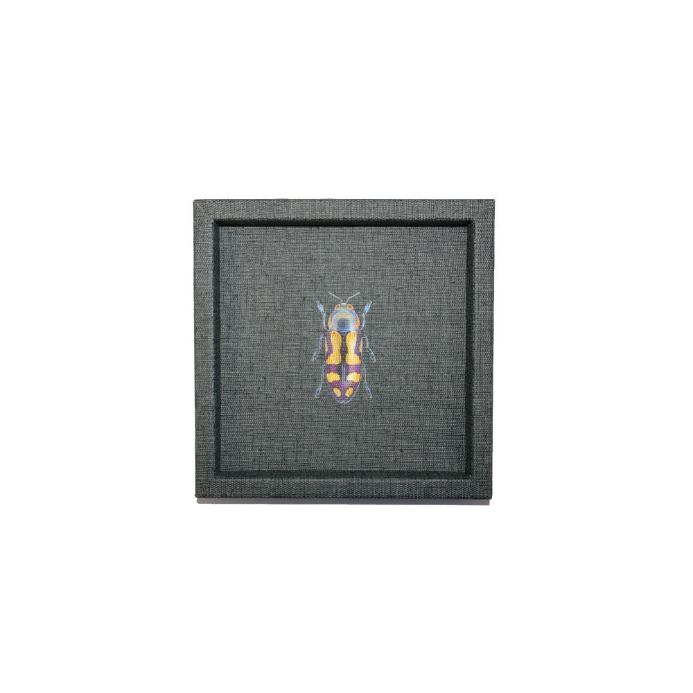 CHAROLA 15 X 15 FIORE GRAFITO