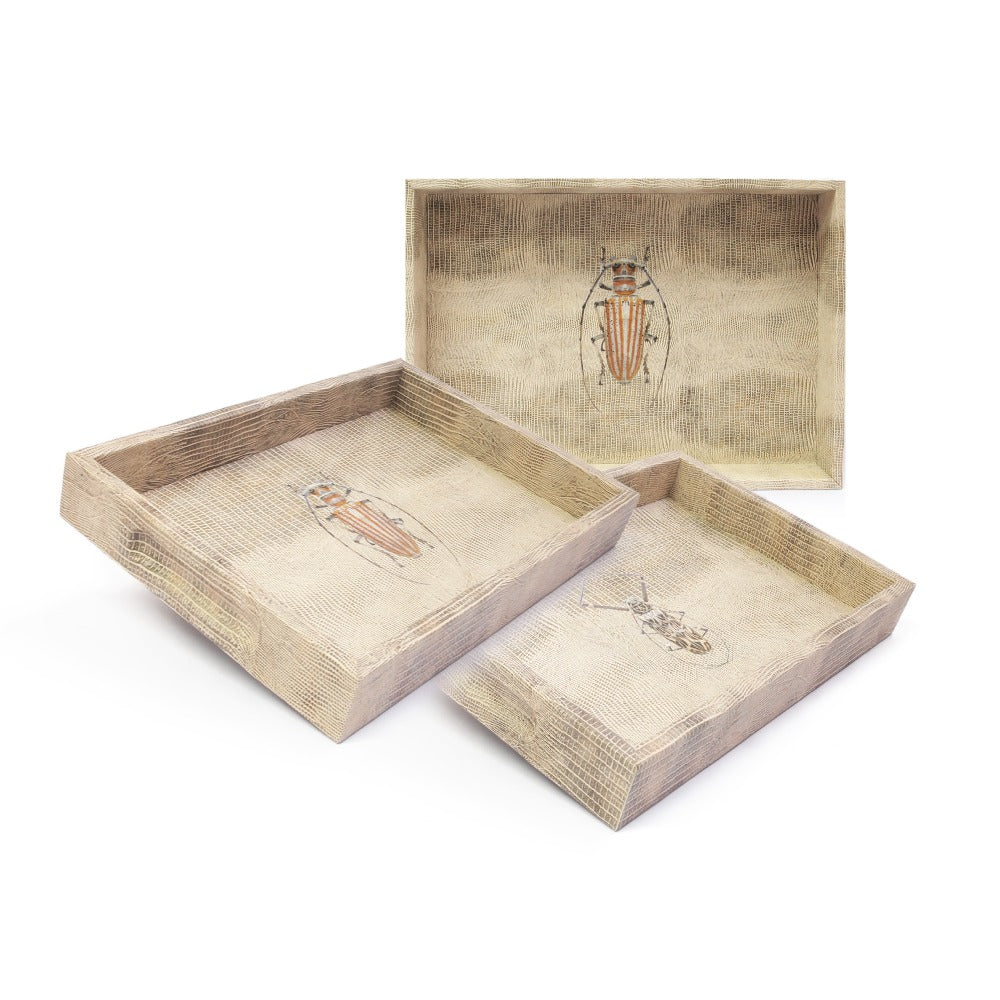 CHAROLA BURO TEJUS CLARO