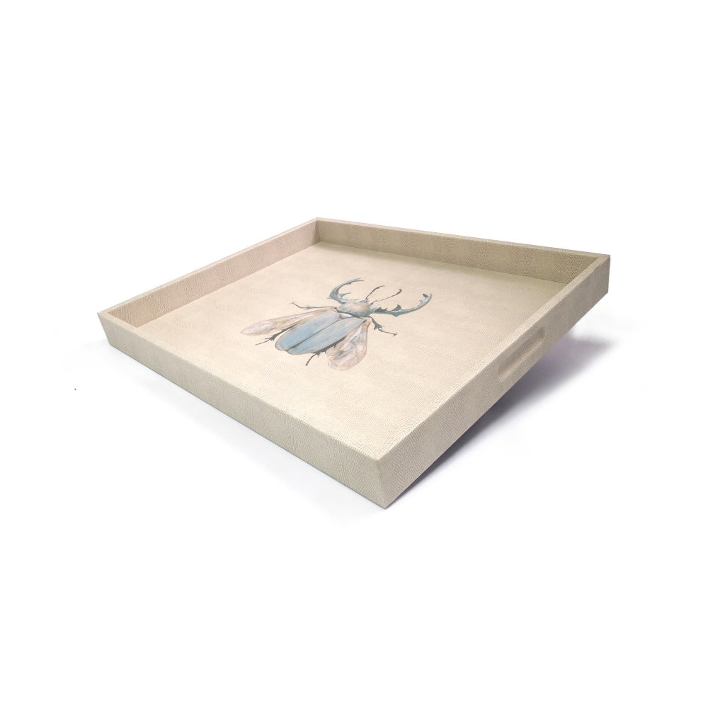 CHAROLA GRANDE RAYITAS CARNE