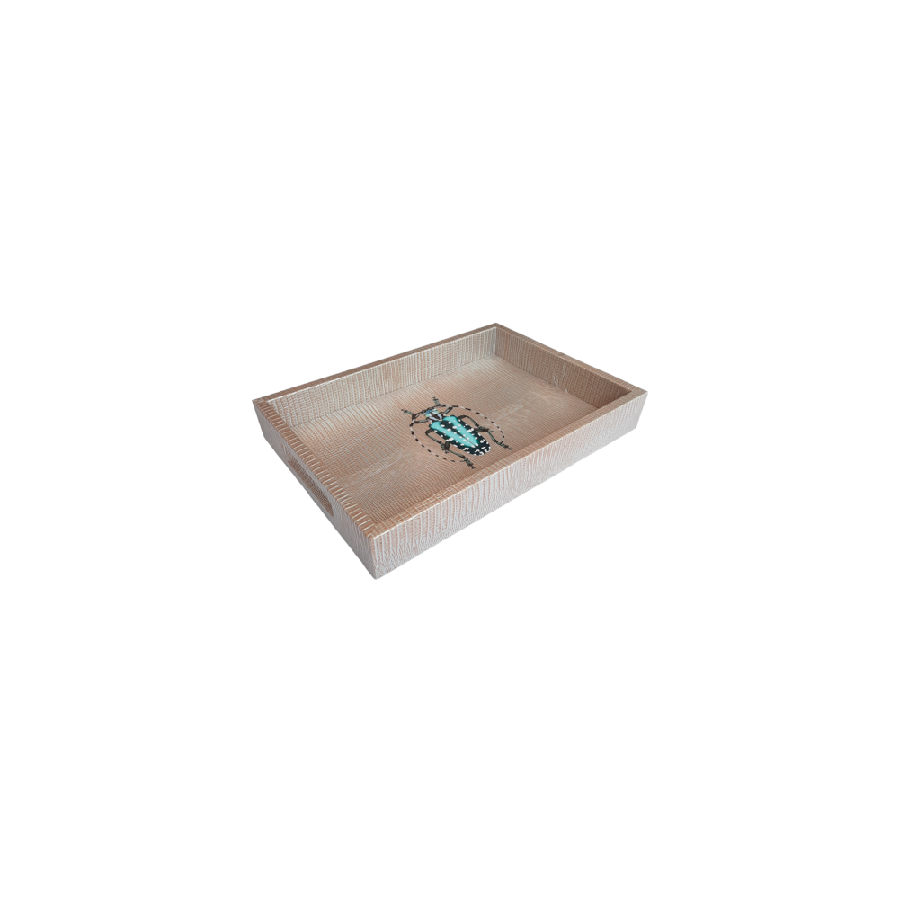 CHAROLA BURO TEJUS PLATA BEIGE