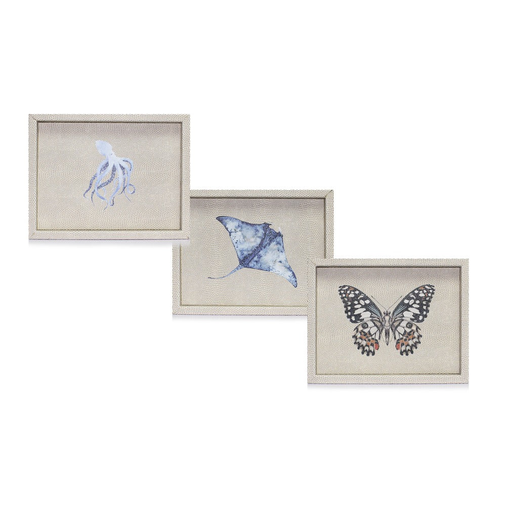 CHAROLA LADDU RAYITAS CARNE