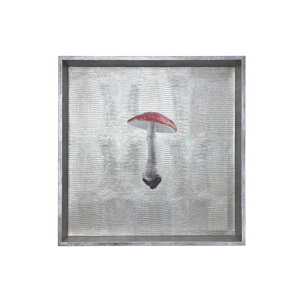 CHAROLA 50 X 50 TEJUS PLATA BEIGE