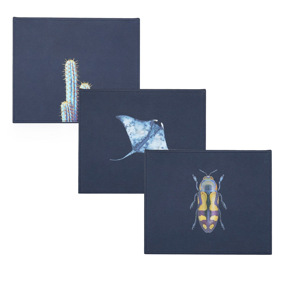 SET CUBILETES FORRO AZUL NOCHE