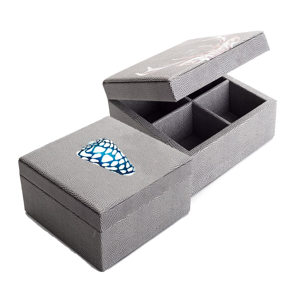 CAJA DE TE 4 REPTIL GRIS