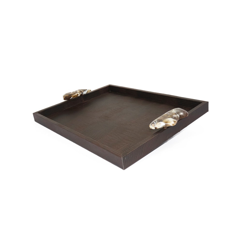 CHAROLA GRANDE ASAS RESINA