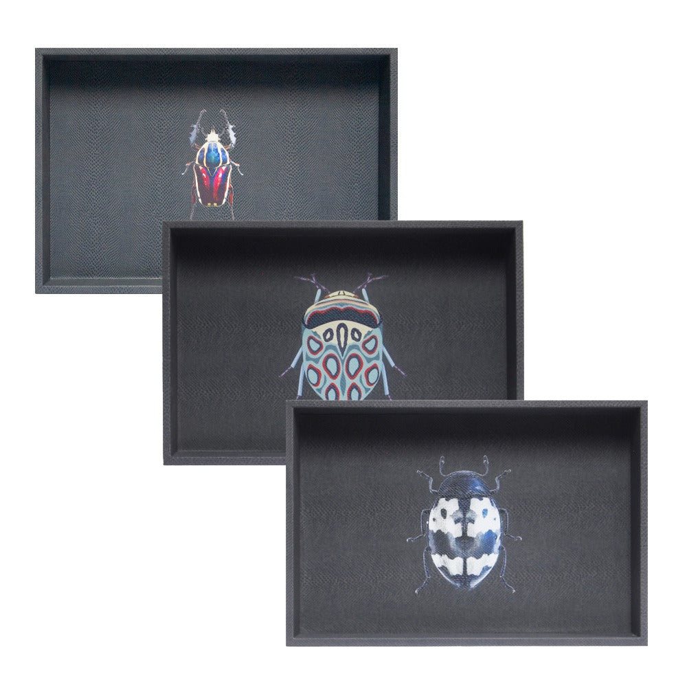 CHAROLA MEDIANA PAMPA