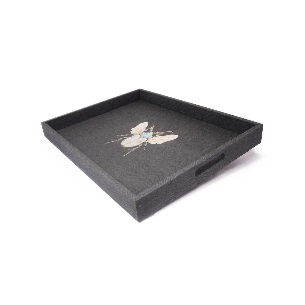 CHAROLA GRANDE PAMPA