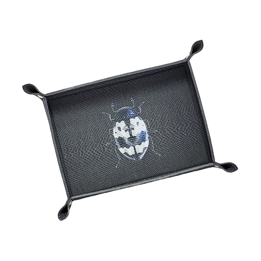 VACIA BOLSILLOS GRANDE PAMPA