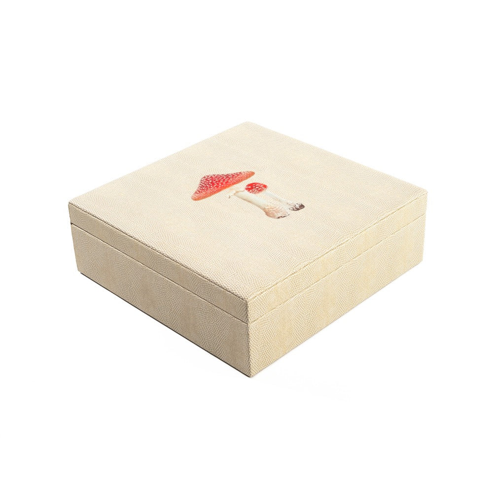 CAJA DE TE 9 RAYITAS CARNE
