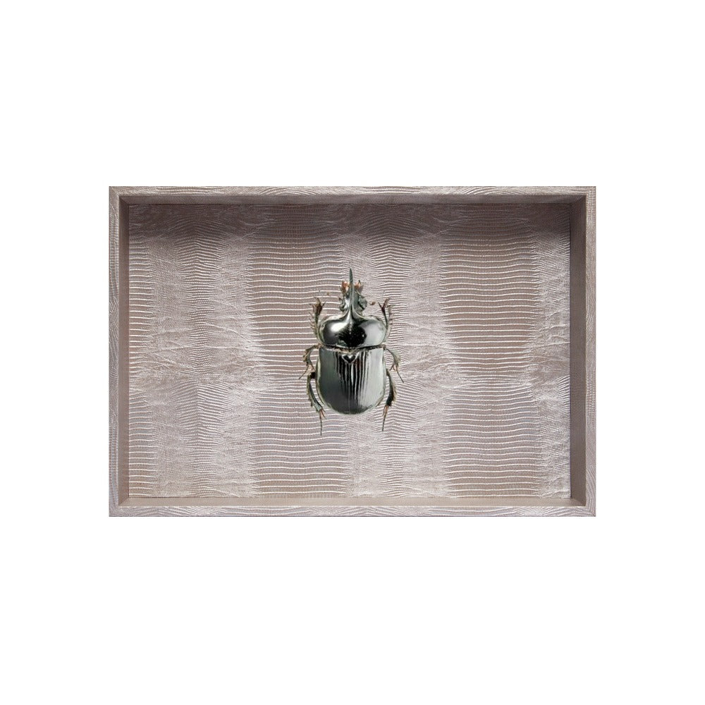CHAROLA MEDIANA TEJUS PLATA BEIGE