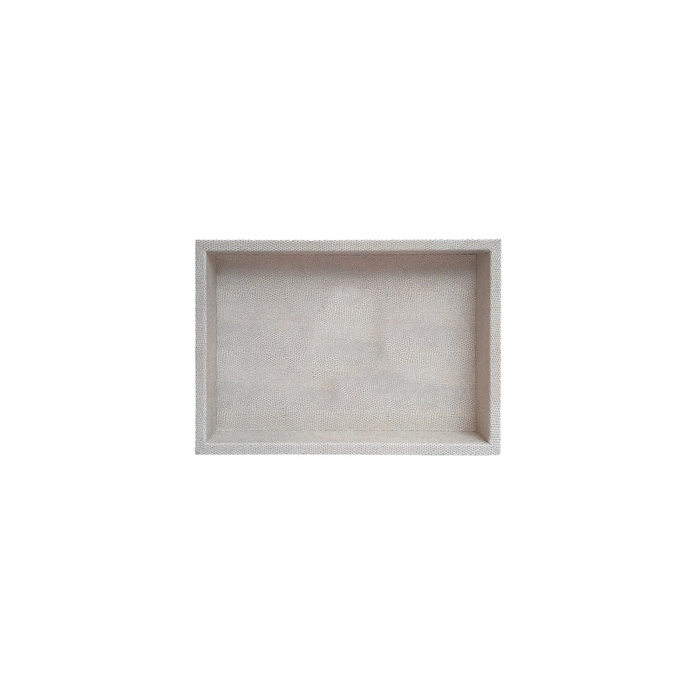 CHAROLA BURO RAYITAS CARNE