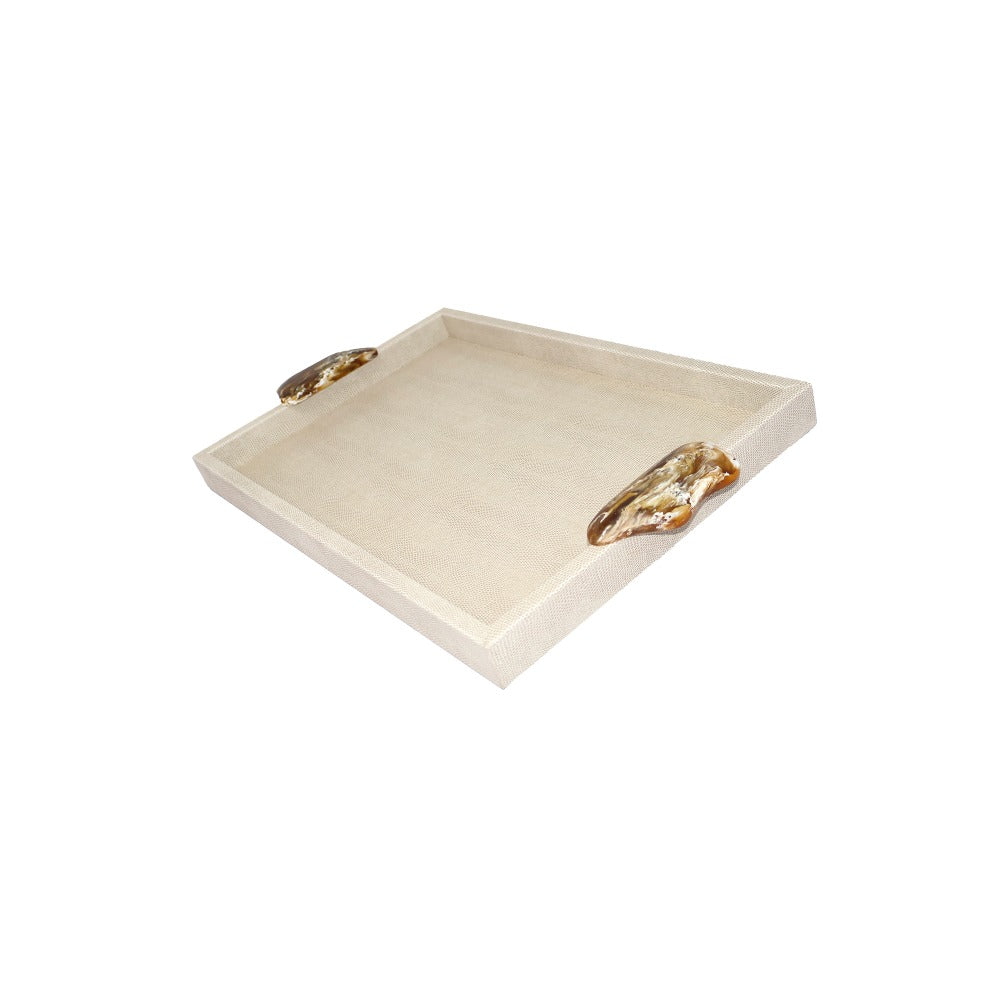 CHAROLA MEDIANA ASAS RESINA