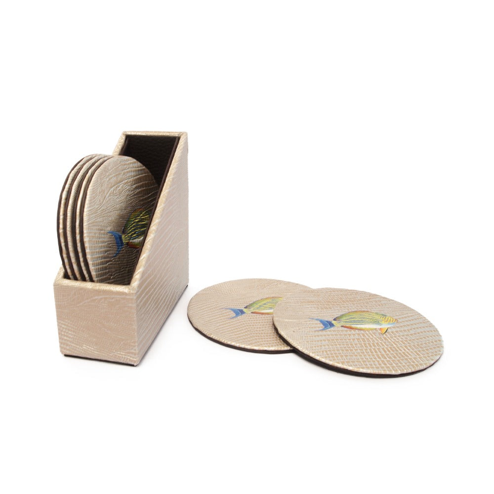 ESTUCHE PORTA VASOS CIRCULARES 6