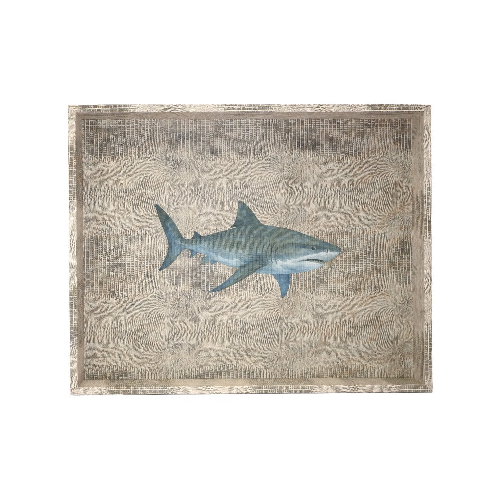 CHAROLA GRANDE TEJUS CLARO
