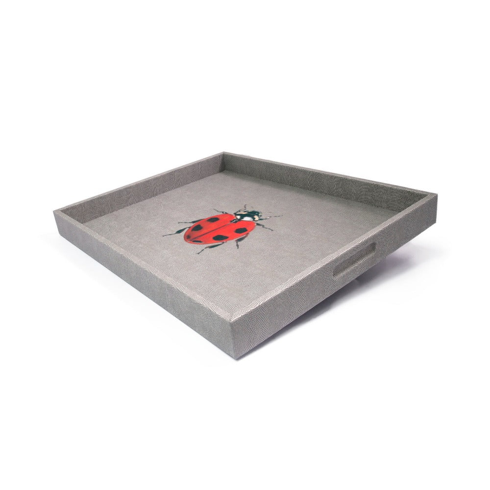 CHAROLA EXTRA GRANDE REPTIL GRIS