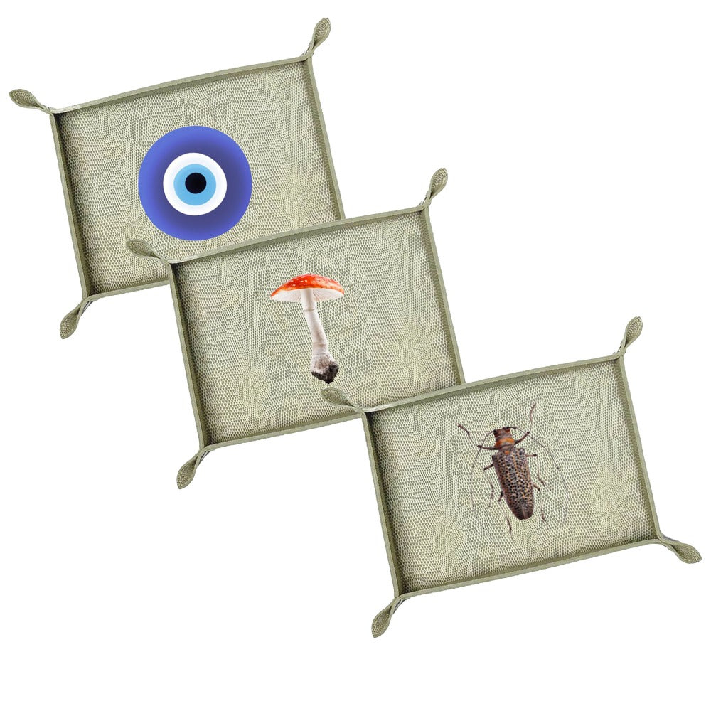 VACIA BOLSILLOS GRANDE RAYITAS CARNE