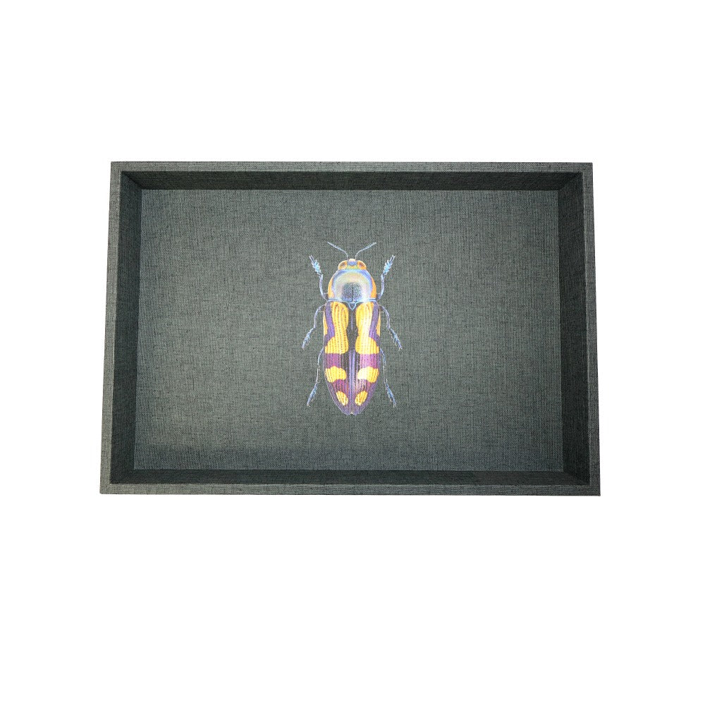 CHAROLA MEDIANA FIORE GRAFITO