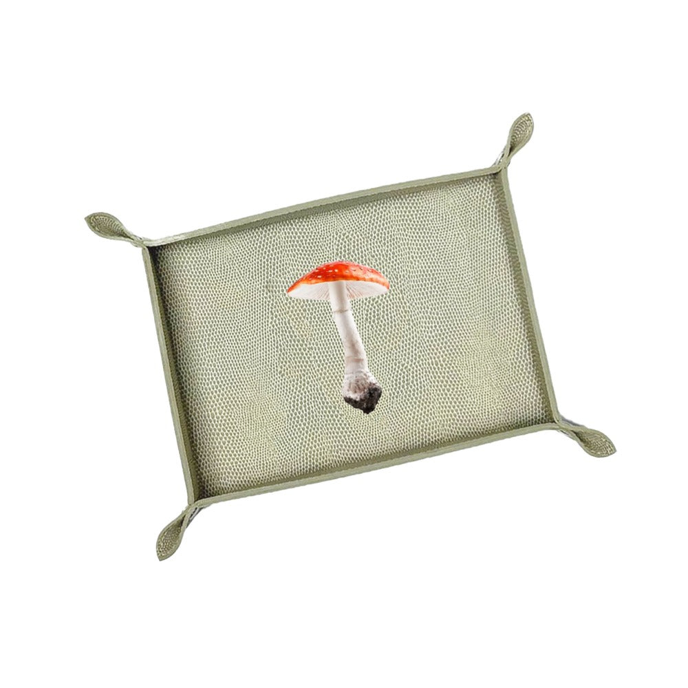 VACIA BOLSILLOS GRANDE RAYITAS CARNE