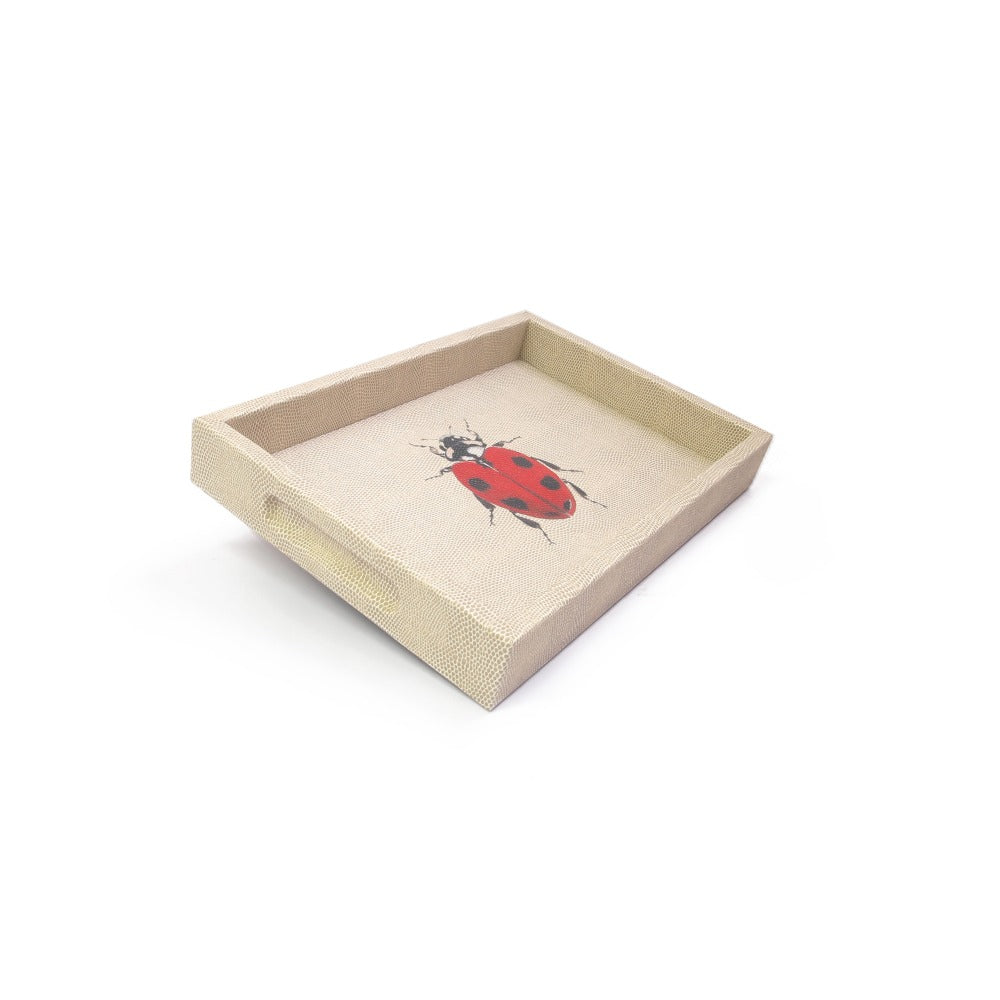 CHAROLA BURO RAYITAS CARNE