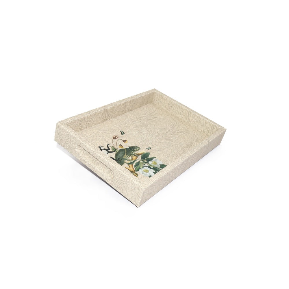 CHAROLA BURO RAYITAS CARNE MUZALUCI