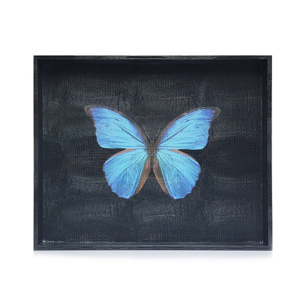 CHAROLA EXTRA GRANDE NEGRO ARMADILLO