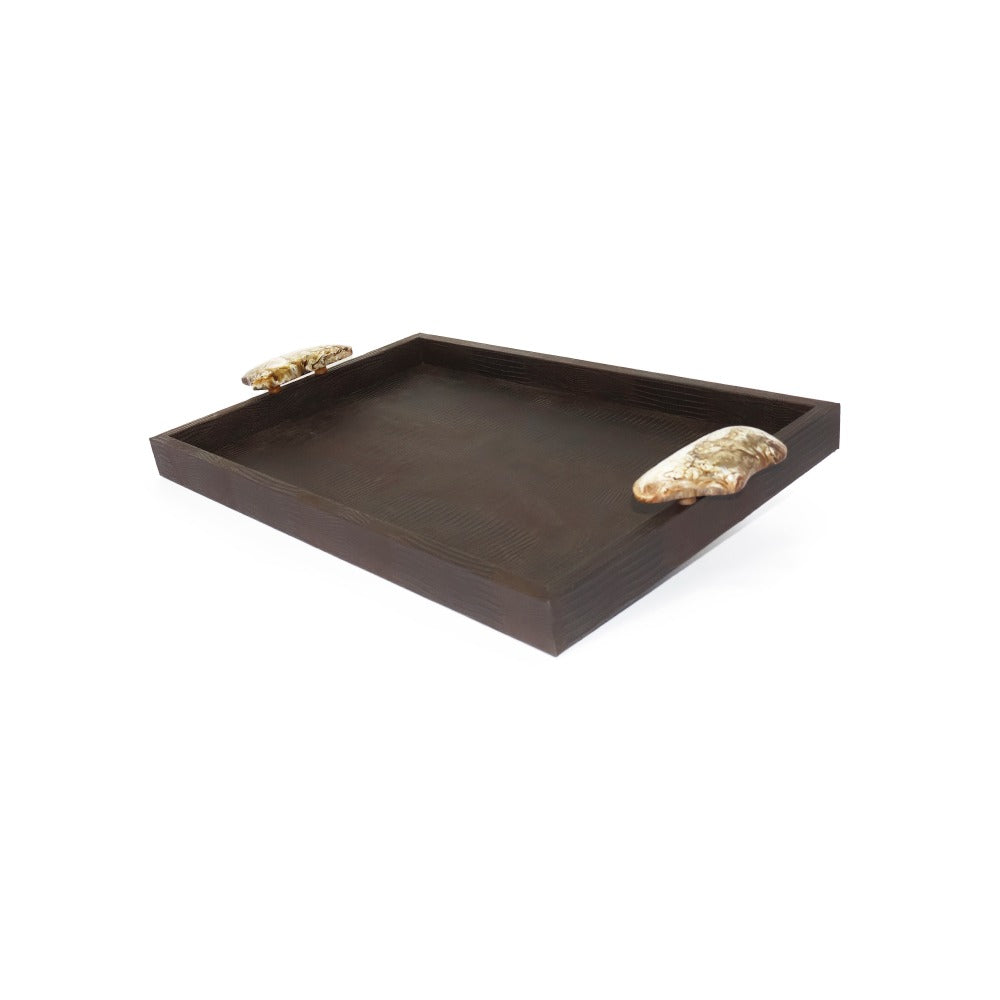 CHAROLA MEDIANA ASAS RESINA