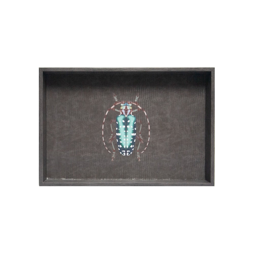 CHAROLA MEDIANA GRIS ARMADILLO