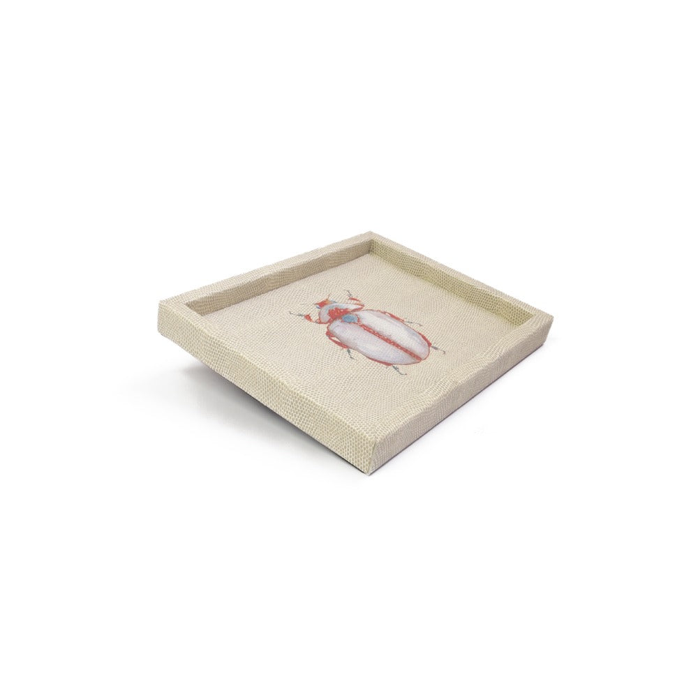 CHAROLA LADDU RAYITAS CARNE