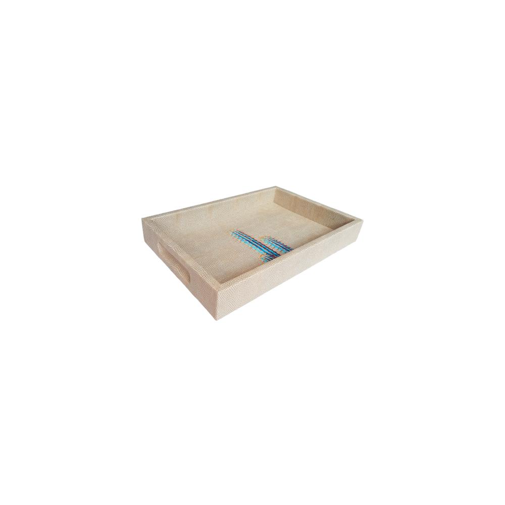 TRAY BURO STRIPES MEAT