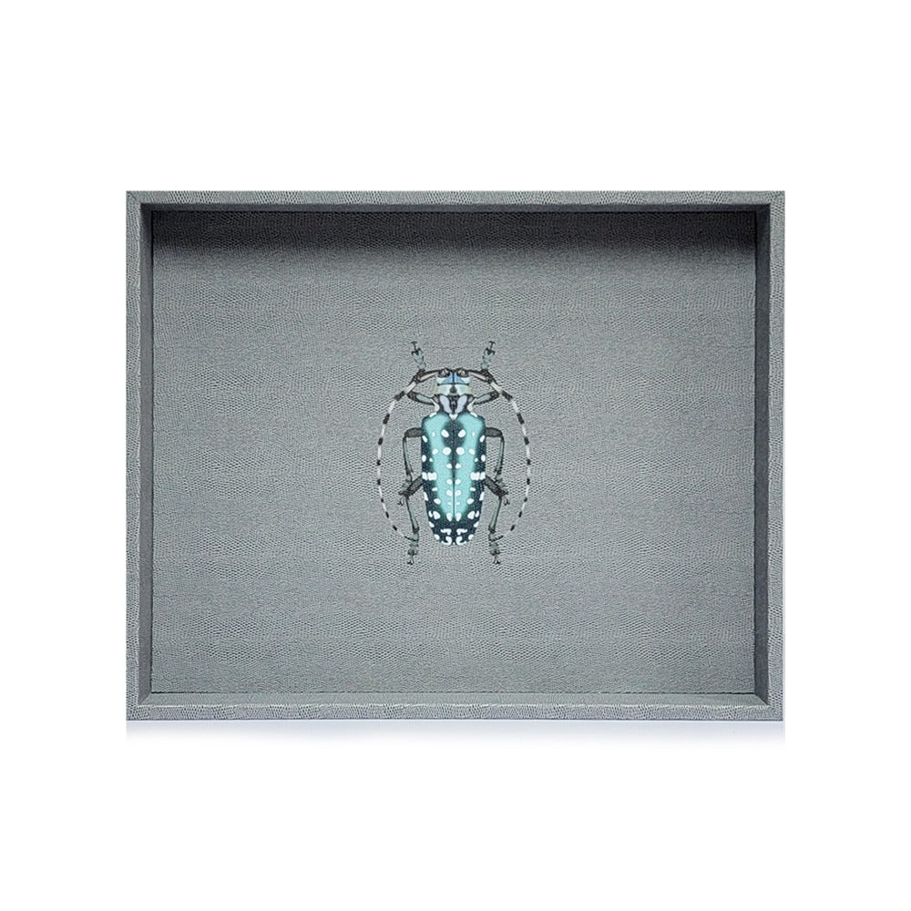 CHAROLA GRANDE REPTIL GRIS