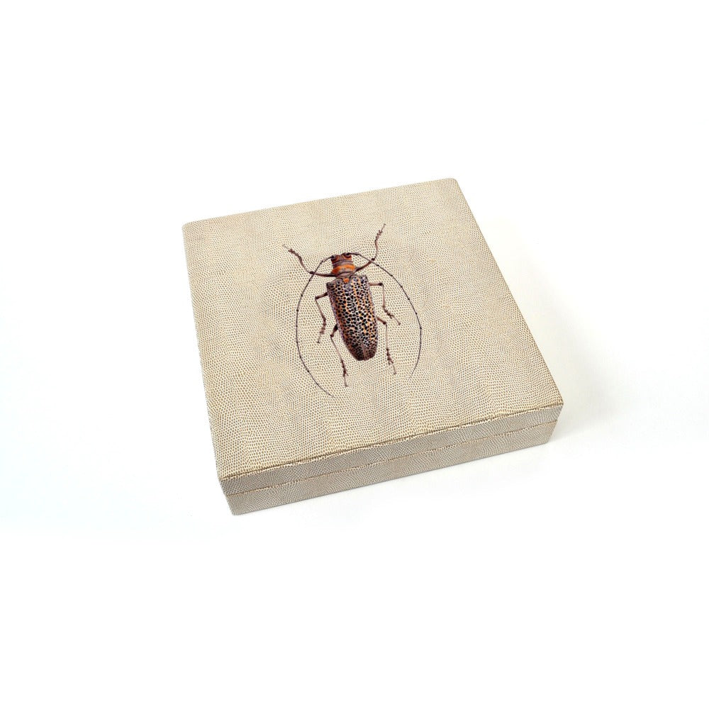 CAJA DE NESPRESSO 36 RAYITAS CARNE