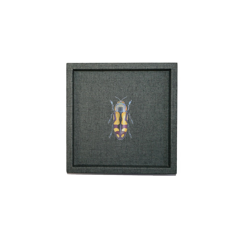 CHAROLA 18 X 18 FIORE GRAFITO