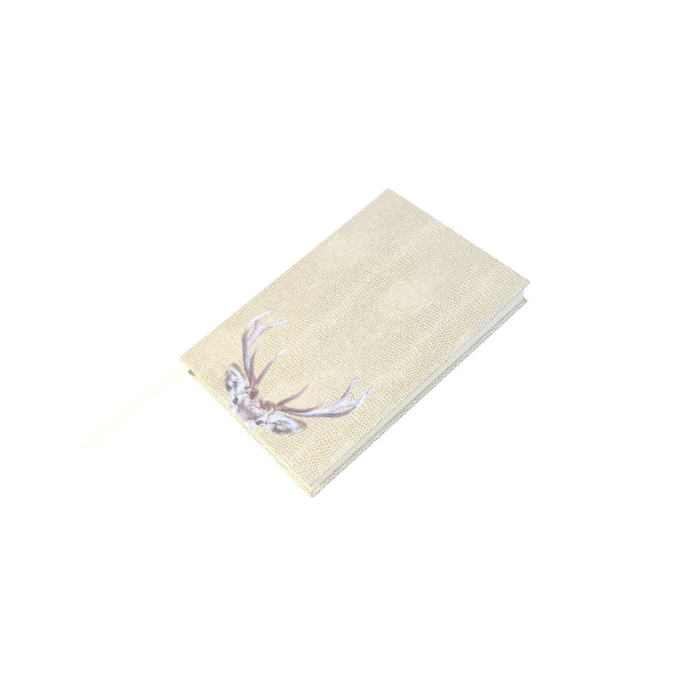 LIBRETA RAYITAS CARNE