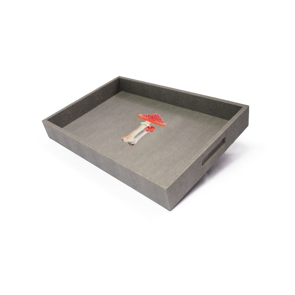 CHAROLA MEDIANA REPTIL GRIS