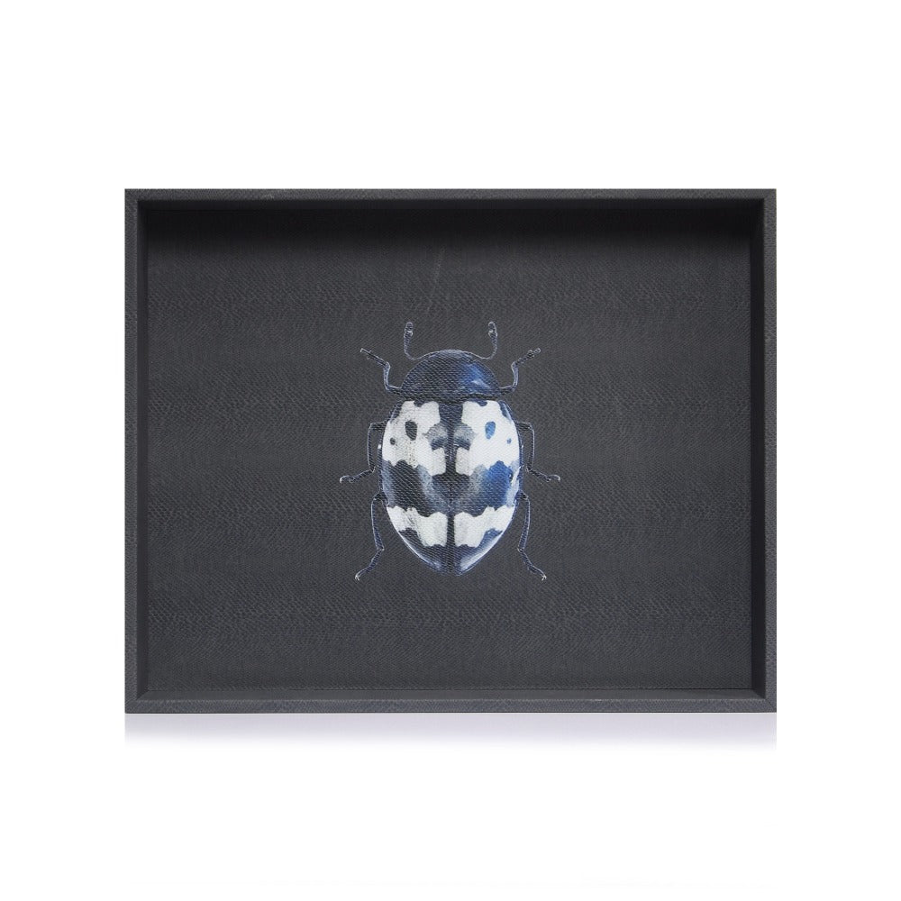 CHAROLA GRANDE PAMPA